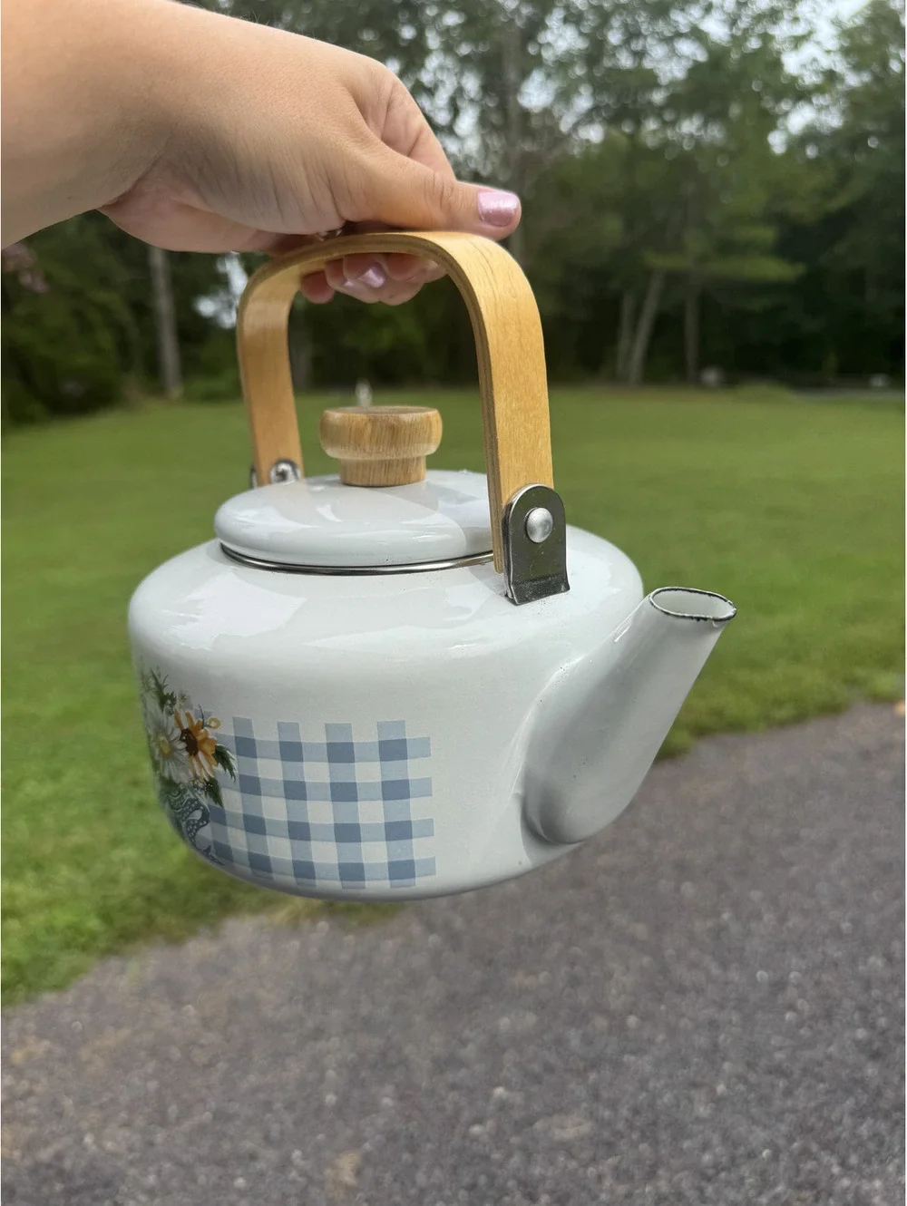Vintage White Enamel Teapot with Blue Gingham and Floral Design